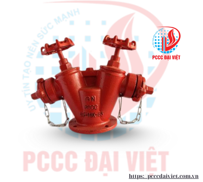 Httpspcccdaiviet.com.vn (15)