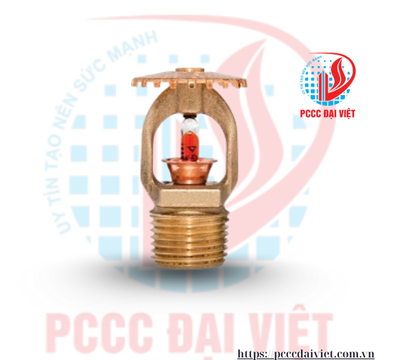 Httpspcccdaiviet.com.vn 2025 07 11t160305.591