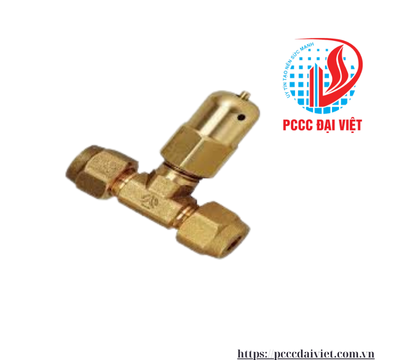 Van xả khí an toàn DN8 AnyFire