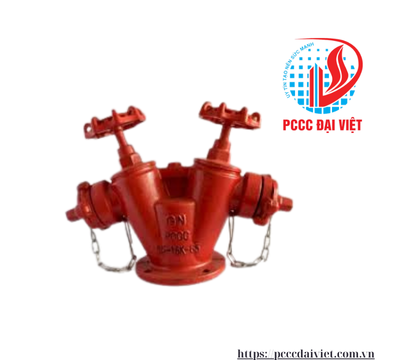 Đầu trụ chữa cháy 2 cửa D65